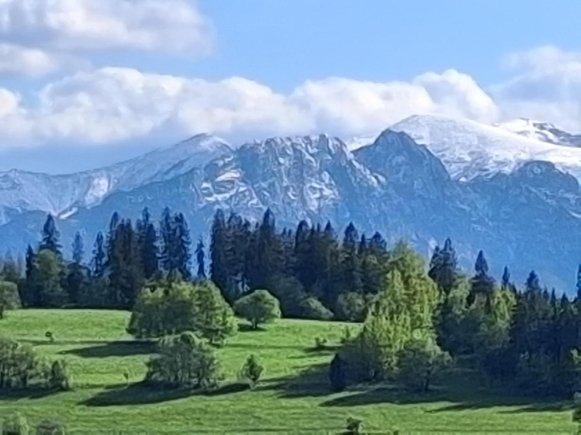 Dom Z Widokiem Na Wierchy - Panorama Na Tatry - Traditional Folk House Gliczarow Exterior photo